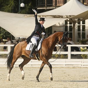 Ранверс, вольт, пиаффе, пассаж… 
