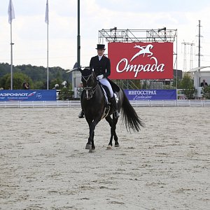 Ранверс, вольт, пиаффе, пассаж… 