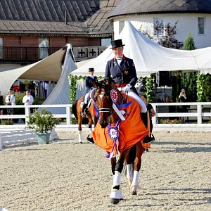 Ранверс, вольт, пиаффе, пассаж… 