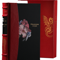 И. А. Гончаров «Обыкновенная история»